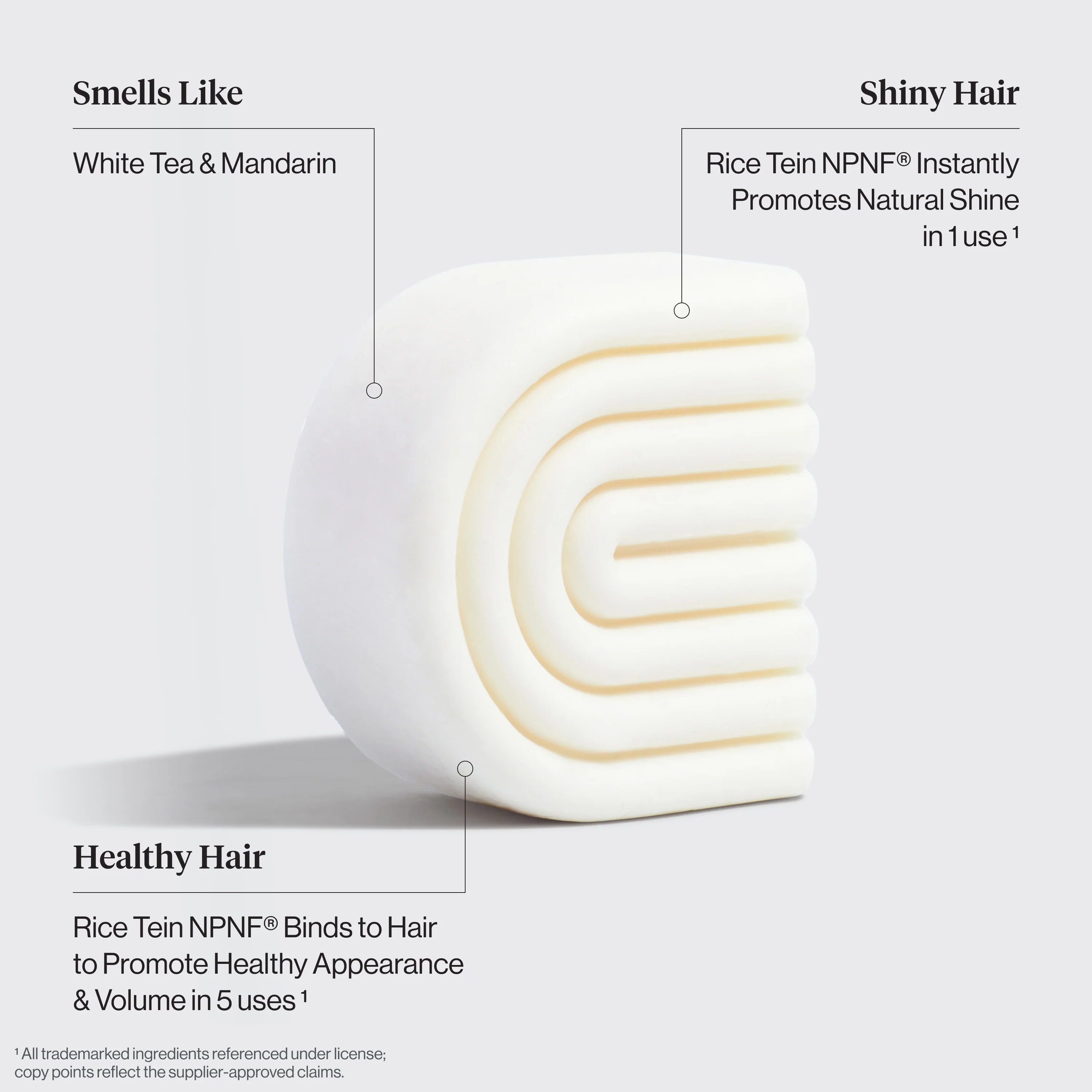 Winter Welcome Kit Rice Water Shampoo & Conditioner Bar Combo for Hair Growth - Image 5